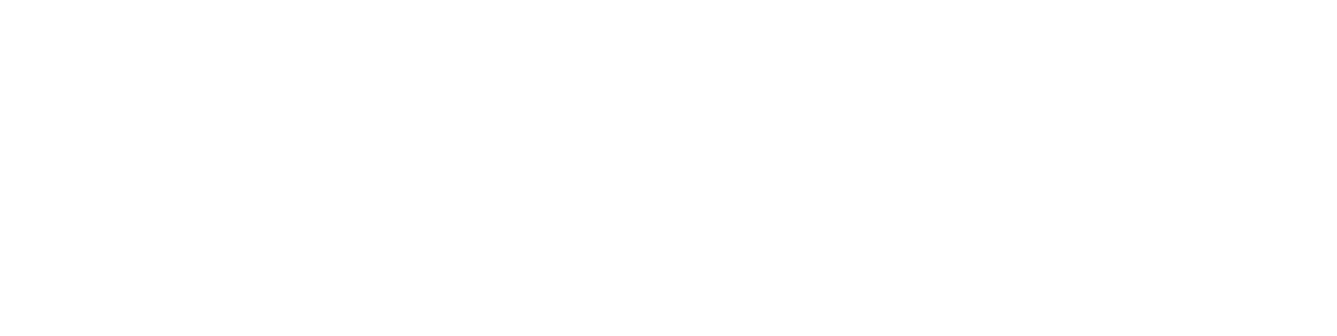 Lietuvos nacionalinis muziejus / National Museum of Lithuania